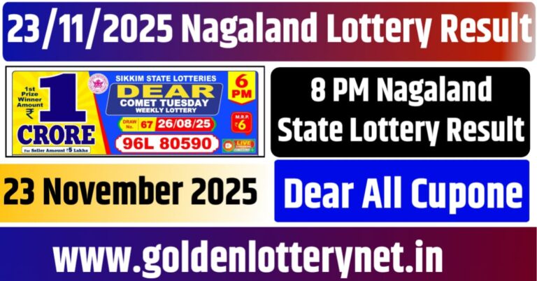 23.11.25 Nagaland Lottery 8 PM Result Download